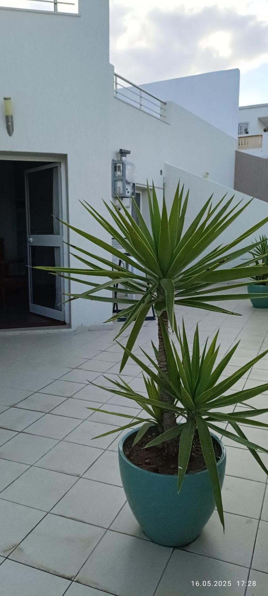 Residence Debbabi Sans Coupure D'Eau Monastir Kamer foto